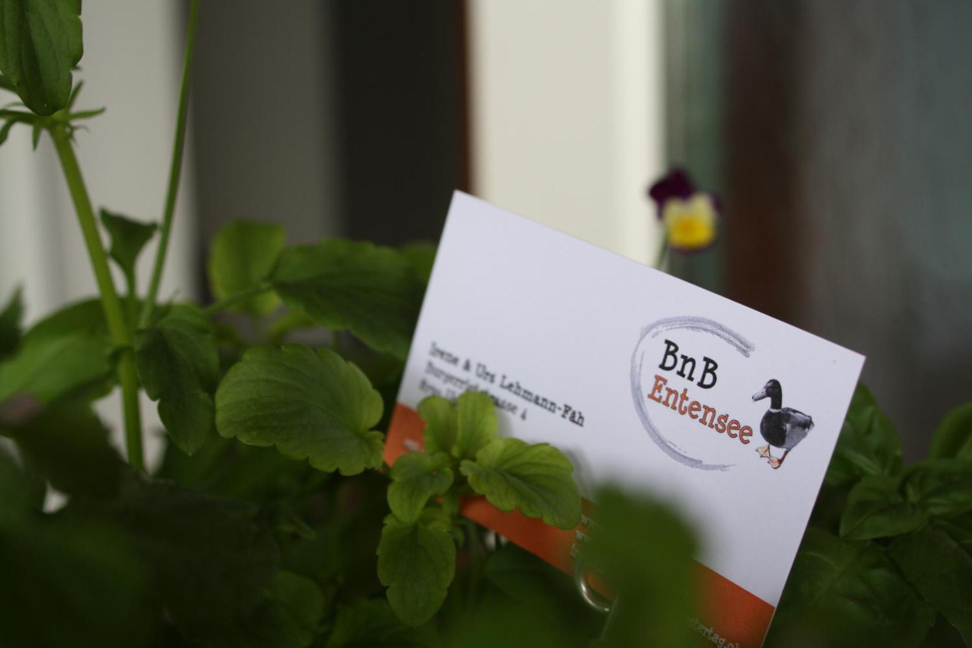 Bnb Entensee Uznach Ngoại thất bức ảnh